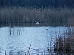 J14_6981