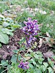 IMG_20240320_153302