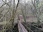IMG_20240320_154525