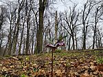 IMG_20240309_104202