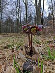 IMG_20240309_135405