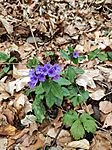 IMG_20240309_141211