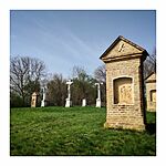 IMG_20240330_101557-02