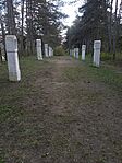 IMG_20240324_103854