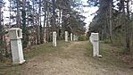 IMG_20240324_125412