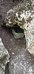 IMG_20240406_165055
