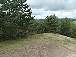 IMG_20240417_131235