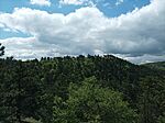 IMG_20240417_125802