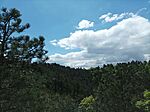 IMG_20240417_125848