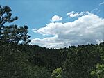 IMG_20240417_125850