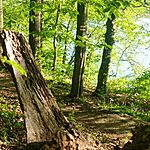 Turistajelzés mozgó