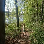 Deseda-tavi kirándulás