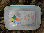 DSCN2683