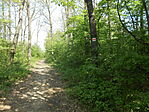 DSCN2691