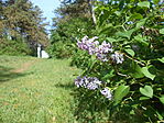 DSCN2713