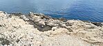 IMG_20240405_135128