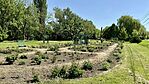 IMG_7963