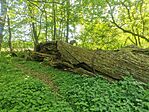 IMG_20240414_150627