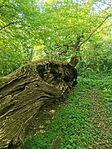 IMG_20240414_150708