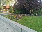 IMG_20240413_074044