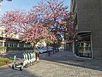 IMG_20240413_074547