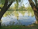 IMG_20240413_114529