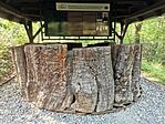IMG_20240412_160202
