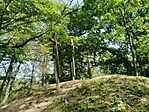 IMG_20240412_115419