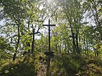 IMG_20240412_120443