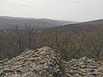 IMG_20240330_134238