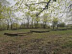 IMG_20240330_101520