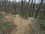 IMG_20240314_130843