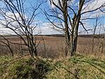IMG_20240314_131008