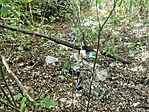 IMG_20230912_162434
