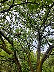 P_20240422_161137