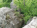 IMG_20240428_163444