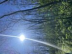 IMG_8176