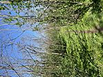 IMG_8177