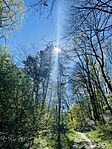 IMG_8186
