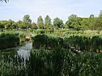 IMG_20240414_103219