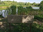 IMG_20240414_104351