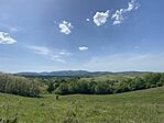 IMG_2049
