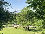 IMG_2071