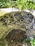 IMG_9263