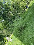IMG_2166