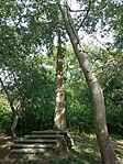 IMG_20240428_152251[1]