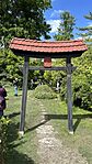 IMG_6201