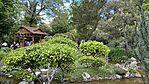 IMG_6204