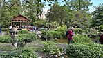 IMG_6205