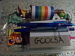 DSCN6273